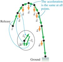 Projectile motion: velocity and acceleration vectors