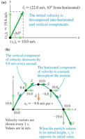 Projectile motion: velocity and acceleration at various points