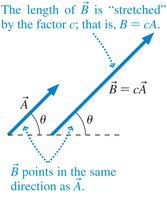 Multiplying a vector by a scalar