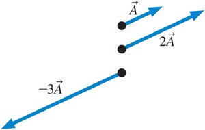 Vectors with positive and negative scalar multiples