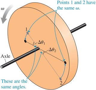 Disk showing equal angular velocity at different points