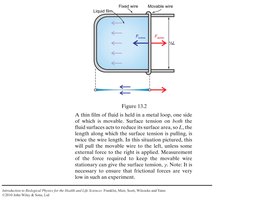 Surface tension measurement with a movable wire