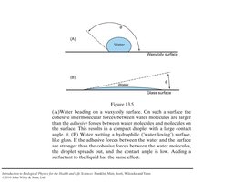 Contact angle and wetting behavior on different surfaces