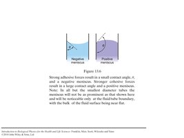 Contact angle and meniscus formation