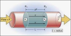 Poiseuille's law in a blood vessel