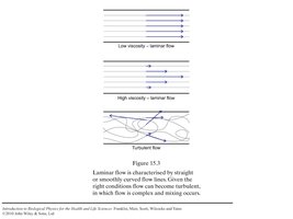 Laminar flow profile