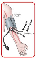 Sphygmomanometer setup on arm
