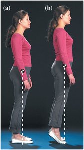Human adjusting center of gravity while standing