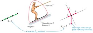 Free-body diagram for a skier on an incline