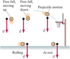 Weight force diagram