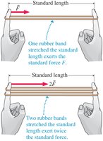 Rubber band force experiment