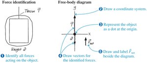 Free-body diagram assessment