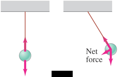 Stable equilibrium with center of gravity over base