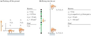 Springbok leap diagram, phase 1 and 2