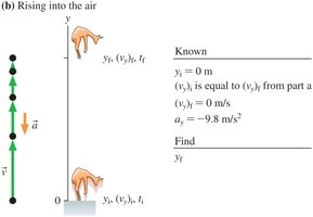Springbok leap calculation for maximum height