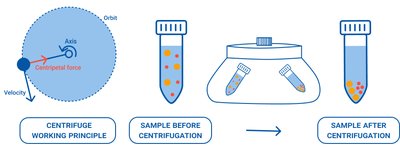 Centrifuge working principle and sample separation