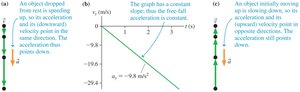 Free fall motion diagram