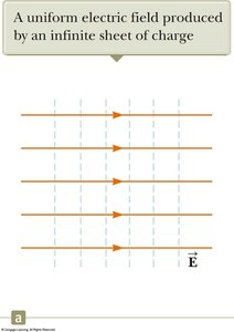 Equipotential lines and electric field lines for a point charge