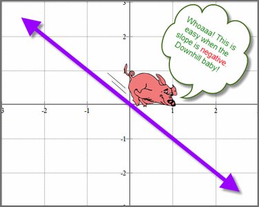 Negative slope on a graph with pig