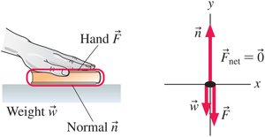 Force identification and free-body diagram for a pressed book