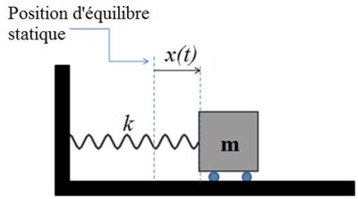 Mass-spring system at static equilibrium