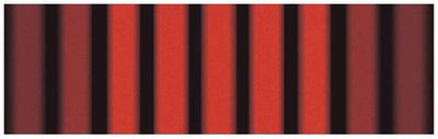 Optical double-slit interference fringes