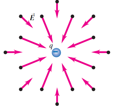 Electric field lines for a single negative charge