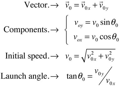 Vector and component equations for projectile motion