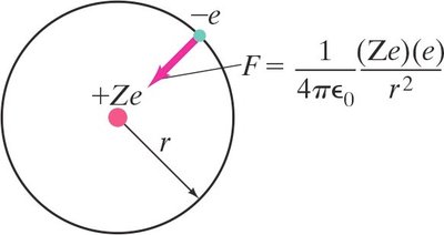 Coulomb force in the hydrogen atom