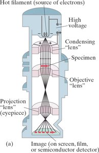 Schematic of an electron microscope
