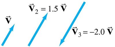 Multiplication of a vector by a scalar