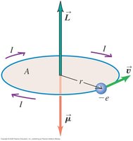 Orbital magnetic moment