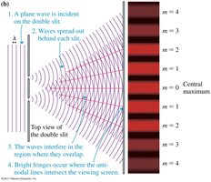 Top view of double-slit interference