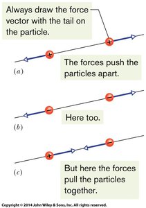 Force vectors for like and unlike charges