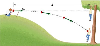 Gravity field example