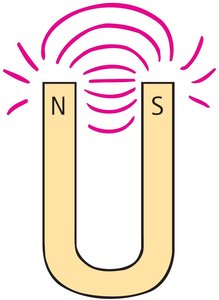 Horseshoe magnet with labeled poles