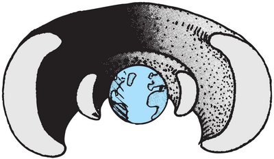 Van Allen radiation belts around Earth