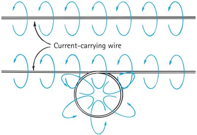 Concentric magnetic field lines around a wire