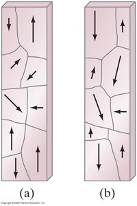 Magnetic domains before and after alignment