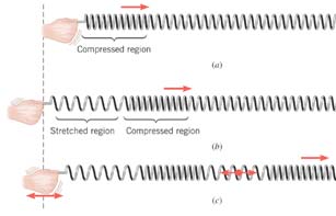Transverse wave on a slinky