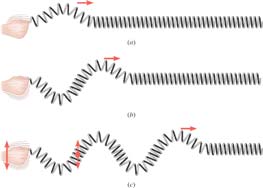 Longitudinal wave on a slinky