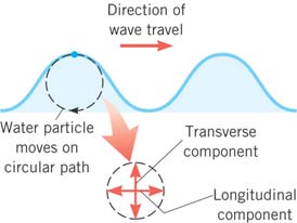 Water wave with transverse and longitudinal components
