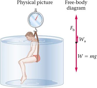 Person submerged in water with buoyant force diagram