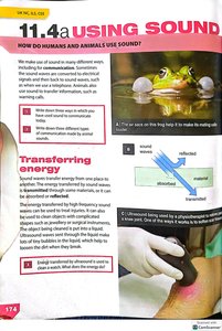 Ultrasound imaging and frog using sound