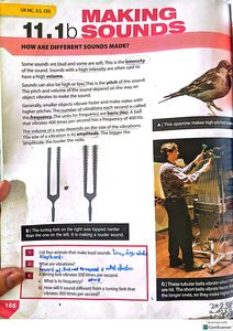 Tuning forks and musician producing sound