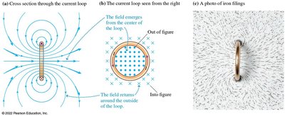 Field lines of a current loop