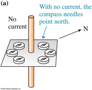 Compass needles with no current point north