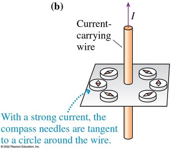 Compass needles with current align tangentially to the wire