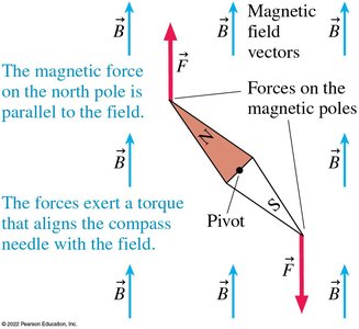 Forces on magnetic poles and torque on a compass needle