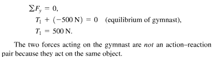 Equilibrium calculation for gymnast